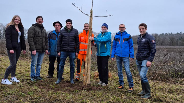 Stadträte pflanzten gemeinsam einen Baum