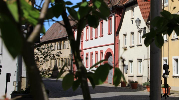Blick durch einen Busch auf historische Gebäude in einem Straßenzug Scheinfelds