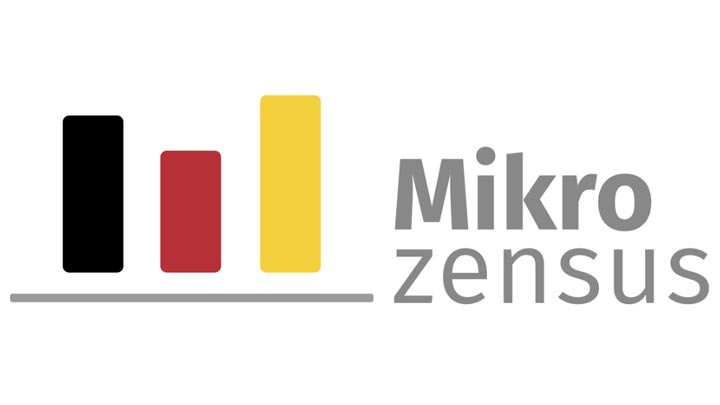 Mikrozensus