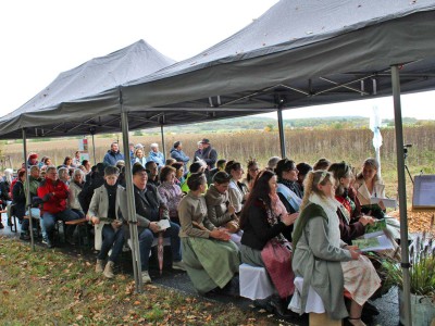 Foto: Nele Wiesinger